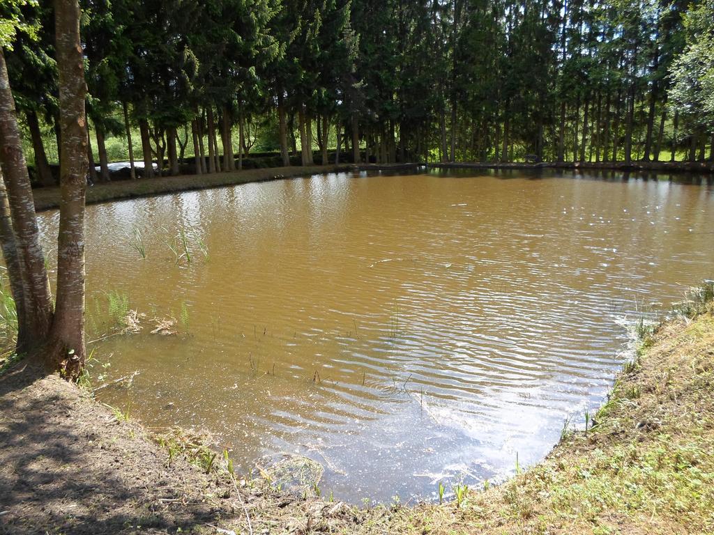 Camping Les Pinasses La Chapelle  Екстериор снимка